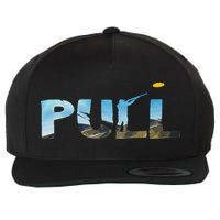 Skeet Trap Clay Pull Skeet Shooting Shooter Clay Shooting Wool Snapback Cap