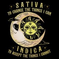 Sativa To Change The Things I Can Indica Accept The Things 16 in Basic Backpack