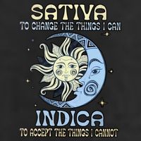 Sativa To Change The Things I Can Indica Cannabis Weed Sun Moon 420 Day 7 Panel Mesh Trucker Snapback Hat