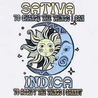 Sativa To Change The Things I Can Indica Cannabis Weed Sun Moon 420 Day Cooling Performance Long Sleeve Crew
