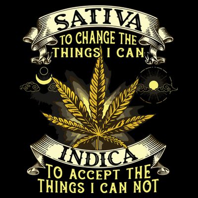 Sativa To Change The Things I Can Indica Cannabis Weed Leaf T-Shirt