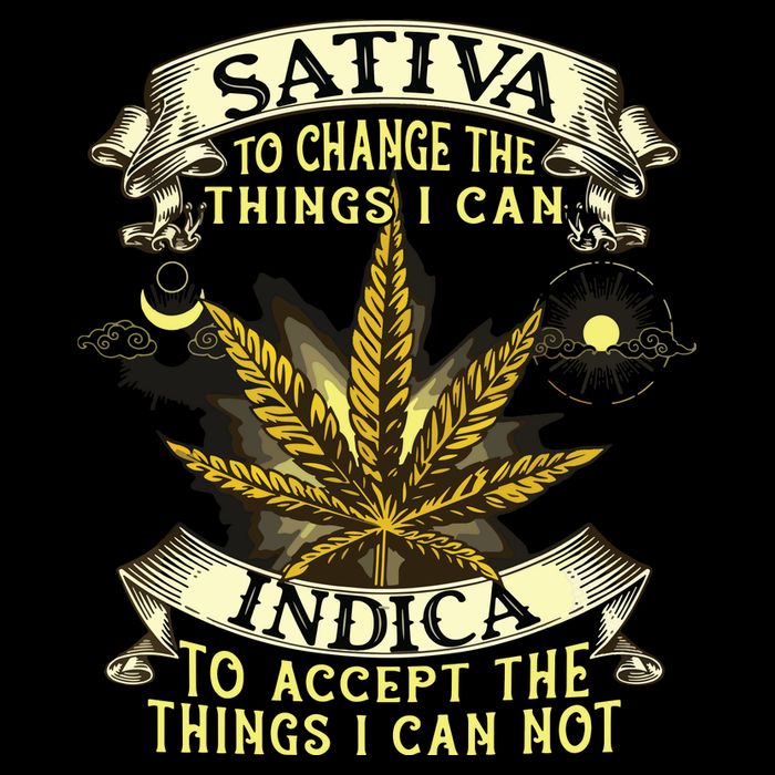 Sativa To Change The Things I Can Indica Cannabis Weed Leaf Sustainable Beanie