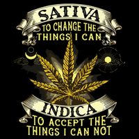 Sativa To Change The Things I Can Indica Cannabis Weed Leaf Visor