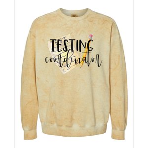 School Testing Coordinator Teacher Tee Colorblast Crewneck Sweatshirt