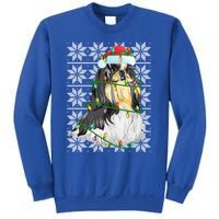 Shih Tzu Dog Christmas Lights Santa Hat Dog Ugly Xmas Cool Gift Sweatshirt