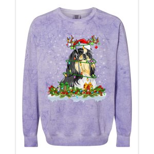 Shih Tzu Dog Lover Xmas Lighting Santa Shih Tzu Christmas Gift Colorblast Crewneck Sweatshirt