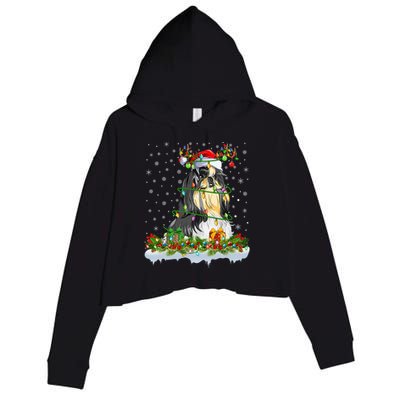 Shih Tzu Dog Lover Xmas Lighting Santa Shih Tzu Christmas Gift Crop Fleece Hoodie