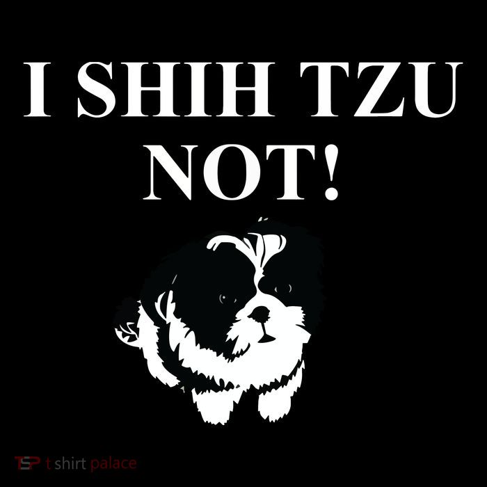 Shih Tzu Dog Owner Funny Gift I SHIH TZU NOT T-Shirt