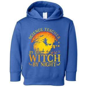 Science Teacherby Day Witch By Night Halloween Teachers Gift Toddler Hoodie