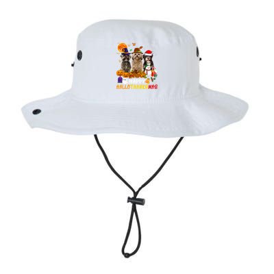 Shih Tzu Dog Happy Hallothanksmas Xmas Dog Lover Funny Gift Legacy Cool Fit Booney Bucket Hat