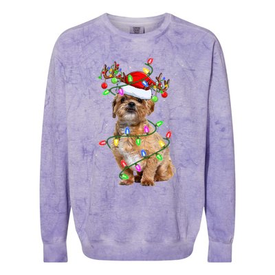 Shih Tzu Dog Lover Xmas Lighting Santa Shih Tzu Christmas Great Gift Colorblast Crewneck Sweatshirt