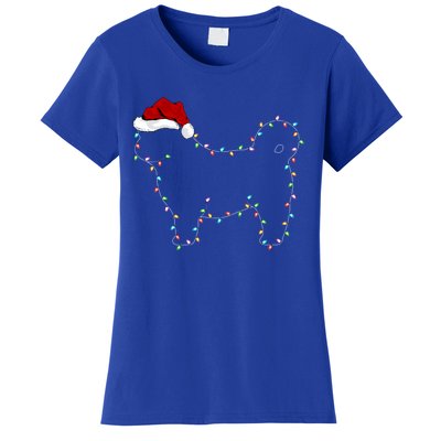 Shih Tzu Dog Xmas Lighting Santa Hat Shih Tzu Christmas Gift Women's T-Shirt