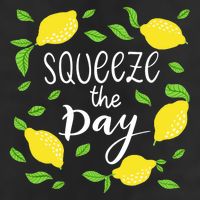 Squeeze The Day Lemons Quote 7 Panel Mesh Trucker Snapback Hat