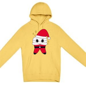 Santa Tooth Dentist Christmas Gift Premium Pullover Hoodie