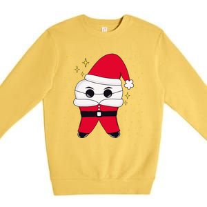 Santa Tooth Dentist Christmas Gift Premium Crewneck Sweatshirt