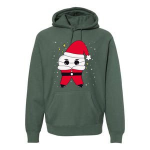 Santa Tooth Dentist Christmas Gift Premium Hoodie