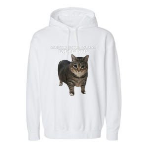 Save The Environment Eat Plastic Cat Meme Garment-Dyed Fleece Hoodie