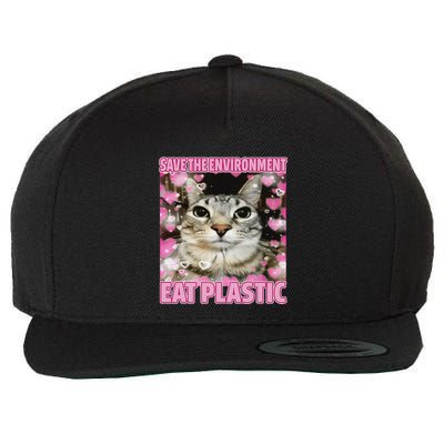 Save The Environment Eat Plastic Cat Cute Silly Kitty Meme Wool Snapback Cap