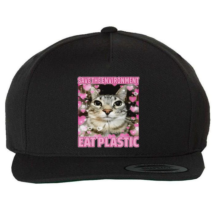 Save The Environment Eat Plastic Cat Cute Silly Kitty Meme Wool Snapback Cap