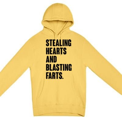 Stealing Hearts And Blasting Farts Premium Pullover Hoodie