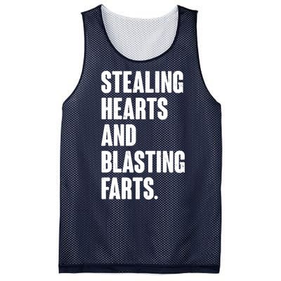 Stealing Hearts And Blasting Farts Mesh Reversible Basketball Jersey Tank