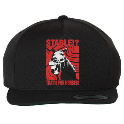 Stable That's For Horses Funny Wool Snapback Cap