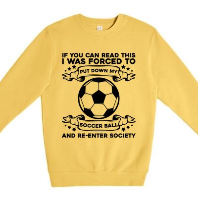 Soccer Team Fan Gift Supporter Soccer Player Gift Premium Crewneck Sweatshirt