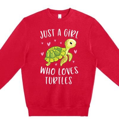 Sea Turtle For Girl Just A Girl Who Loves Turtles Premium Crewneck Sweatshirt