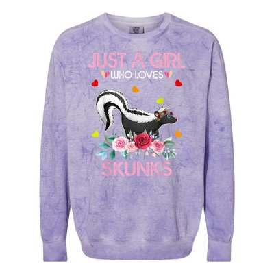 Skunk Tees For Women Grils Gift Just A Girl Who Loves Skunks Colorblast Crewneck Sweatshirt