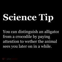 Science Tip Funny Meaning Quote Sustainable Bucket Hat
