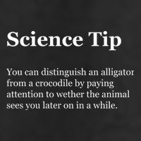 Science Tip Funny Meaning Quote Trucker Hat