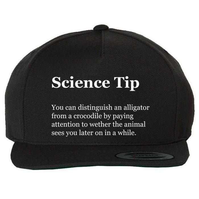 Science Tip Funny Meaning Quote Wool Snapback Cap