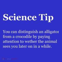 Science Tip Funny Meaning Quote Tall T-Shirt