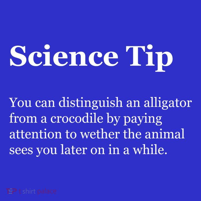 Science Tip Funny Meaning Quote Magnet