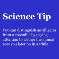 Science Tip Funny Meaning Quote Toddler T-Shirt