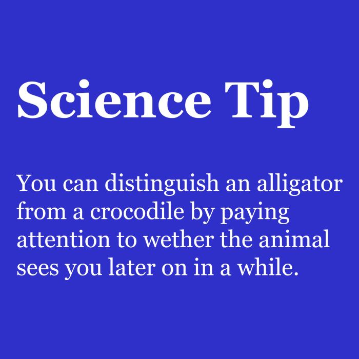 Science Tip Funny Meaning Quote Toddler T-Shirt