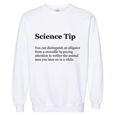 Science Tip Funny Meaning Quote Garment-Dyed Sweatshirt
