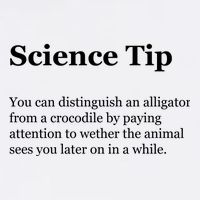 Science Tip Funny Meaning Quote Garment-Dyed Sweatshirt
