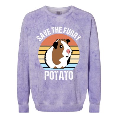 Save The Furry Potato Funny Guinea Pig Colorblast Crewneck Sweatshirt