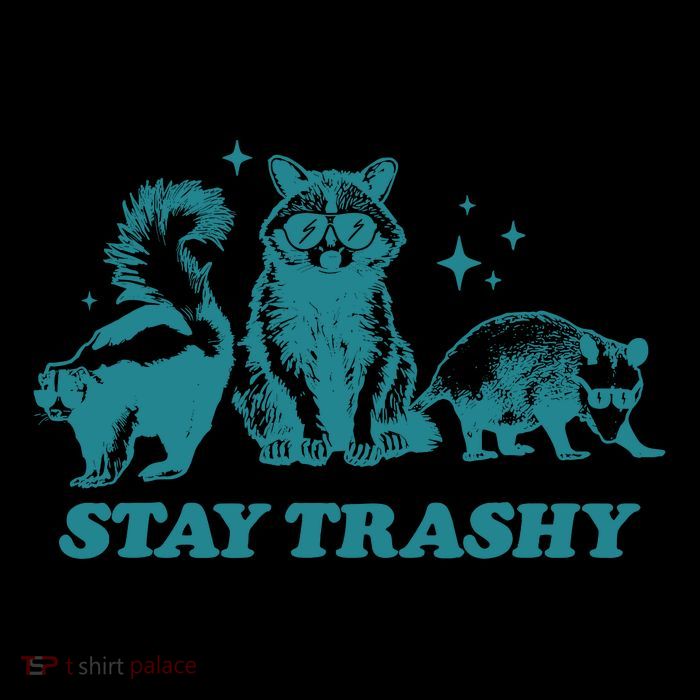 Stay Trashy Funny Raccoon Opossum Skunk Trash Panda Meme Stripe Pom Pom Beanie