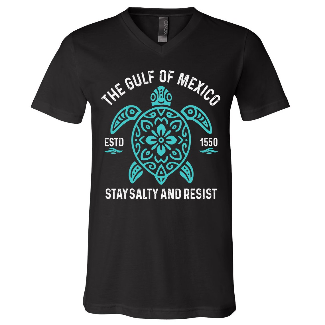 Stay The Gulf Of Mexico Be Salty And Resist Turtle V-Neck T-Shirt
