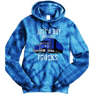 Semi Truck Gift Just A Boy Who Loves Trucks Tie Dye Hoodie