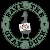 Save The Gray Duck Gift 16 in Basic Backpack