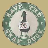 Save The Gray Duck Funny Save The Gray Duck Humor No Goose T-Shirt