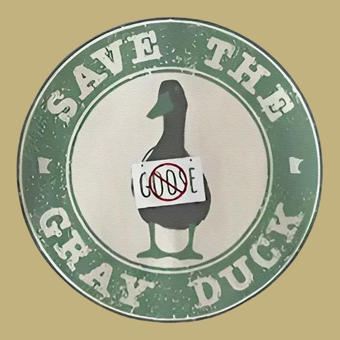 Save The Gray Duck Funny Save The Gray Duck Humor No Goose T-Shirt