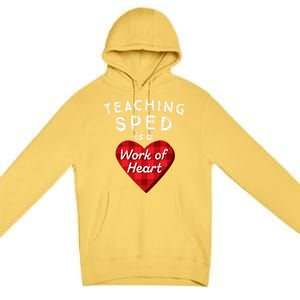 Sped Teacher Gift Valentines Day Plaid Work Of Heart Gift Premium Pullover Hoodie