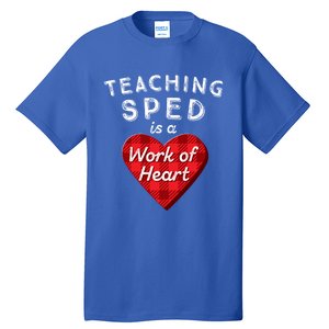 Sped Teacher Gift Valentines Day Plaid Work Of Heart Gift Tall T-Shirt