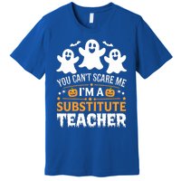 Substitute Teacher Halloween Costume Spooky Scary Teacher Gift Premium T-Shirt