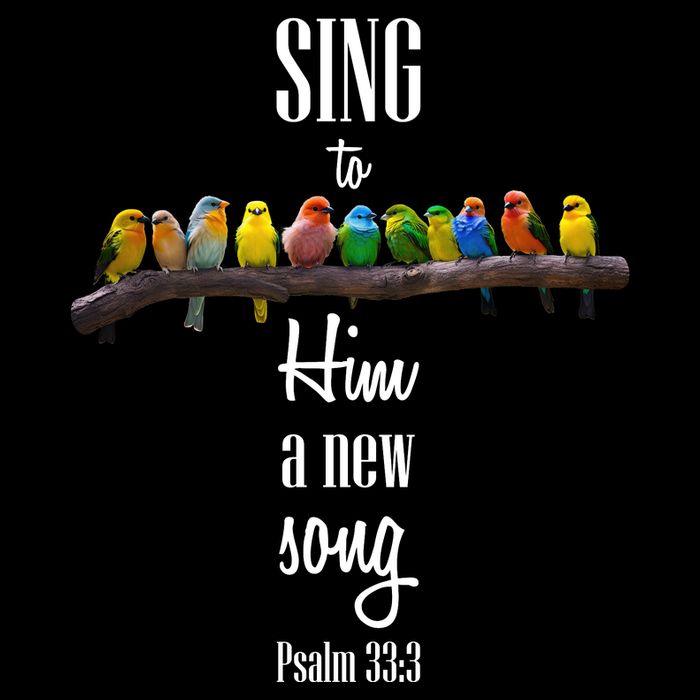 Sing To Him A New Song Psalms 33 3 Wool Snapback Cap
