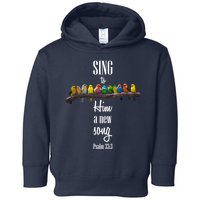 Sing To Him A New Song Psalms 33 3 Toddler Hoodie